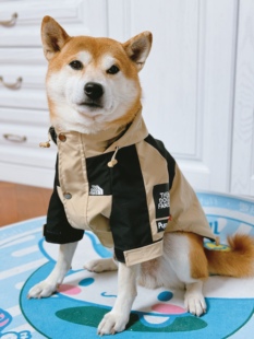 Nick财潮牌防风防雨柴犬柯基比熊雪拉瑞宠物外套狗狗衣服冲锋衣