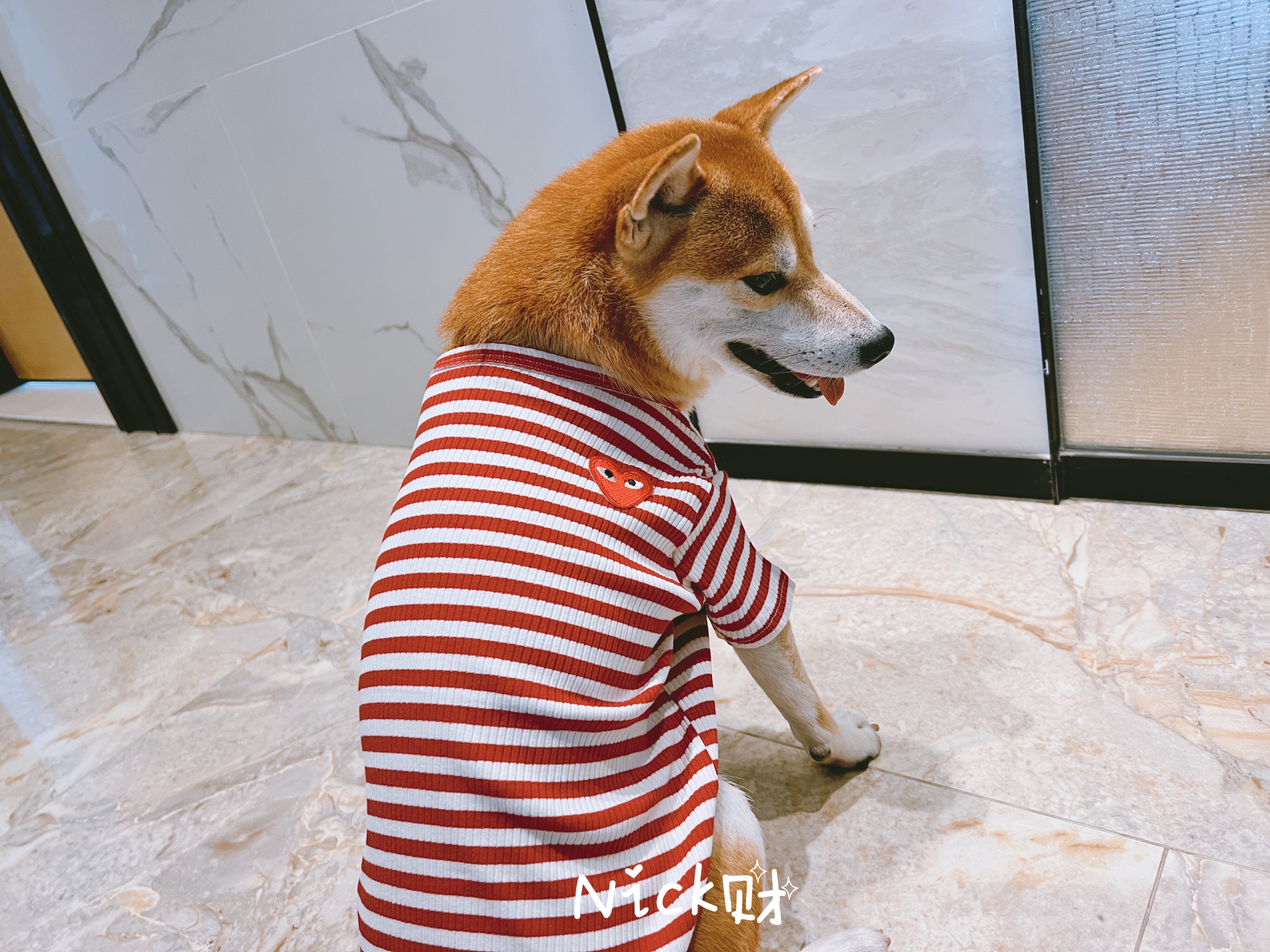 Nick财 秋冬宠物潮牌爱心笑脸狗狗柴犬法斗条纹打底衫棉衣服猫咪