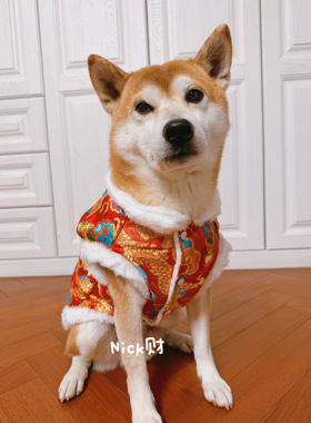 宠物新年唐装衣服秋冬中小型犬柴犬加绒保暖过年红色柯基马甲衣服