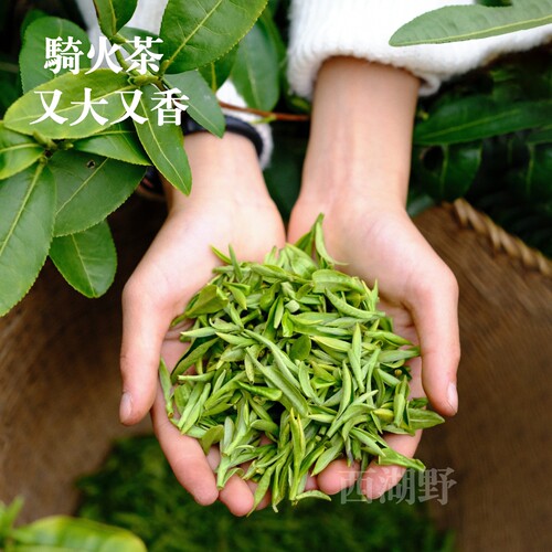 鲜香龙井骑火茶又大又香