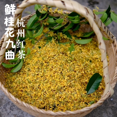 传统手工窨制桂花九曲杭州红茶