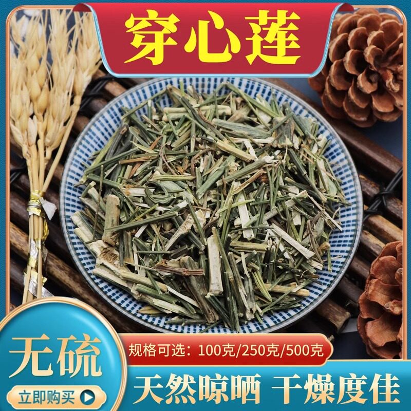中药材穿心莲穿心连川心莲500g克干穿心莲川心连苦胆草四方莲包邮