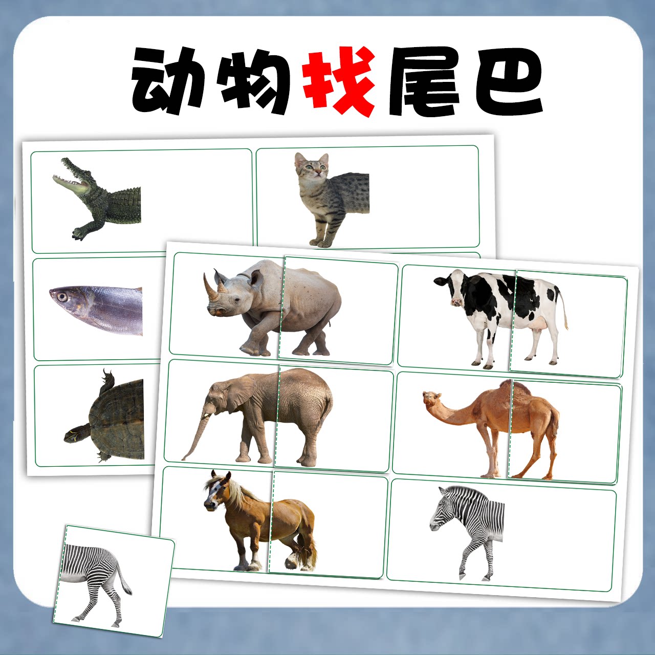 幼儿园小中班益智动物尾巴花纹卡片配对桌面早教游戏闪卡训练材