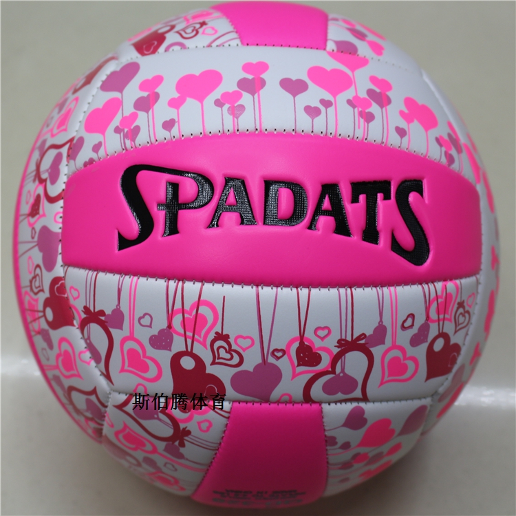 Ballon de volley - Ref 2009816 Image 4