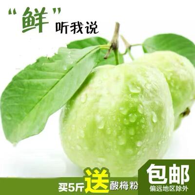台湾品种木子农家珍珠酸梅粉芭乐