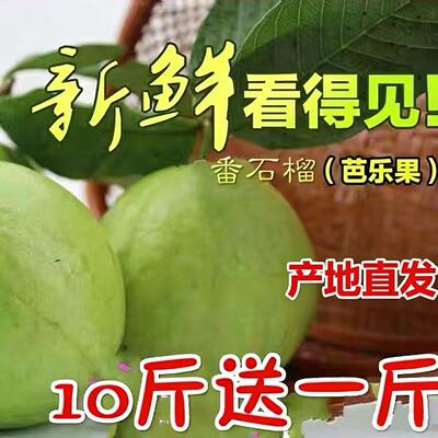 0水果蕃石榴送酸梅粉包邮芭乐