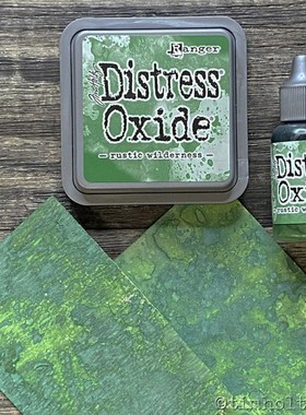 Ranger  Oxide印台TDO 雾面水性印台 绿色系 手帐纸艺印泥雾面