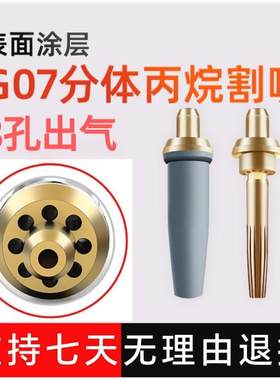 分体式丙烷6孔G07-30涂层梅花咀