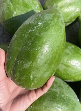青木瓜广西新鲜产妇哺乳下奶泰式凉拌蔬菜水果农家绿色番木瓜整箱