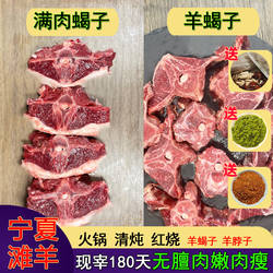 羊蝎子宁夏滩羊新鲜带肉滩羊肉羊脖子内蒙古盐池羊肉羊脊骨火锅