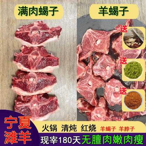 宁夏滩羊羊蝎子新鲜羊肉