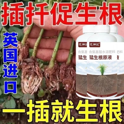 猛生根原液强力生快速根酵母粉生根植物正品家用果树花卉绿萝通用