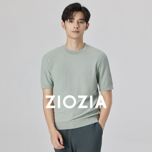 ZIOZIA夏季新品男士圆领针织衫
