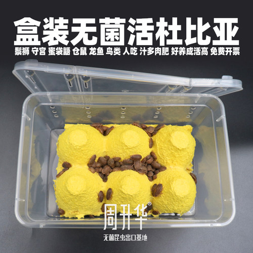 盒装活杜比亚蟑螂蛙龟鱼鸟鬃狮粮