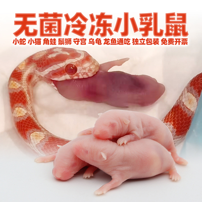 无菌小白鼠蛙龟蛇粮乳鼠粉皮冻干