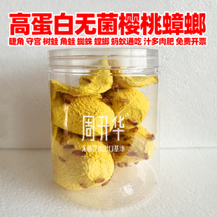 无菌罐装奶茶装樱桃蟑螂活虫幼虫鬃狮蜥睫角守宫蜜袋鼯螳螂饲料粮