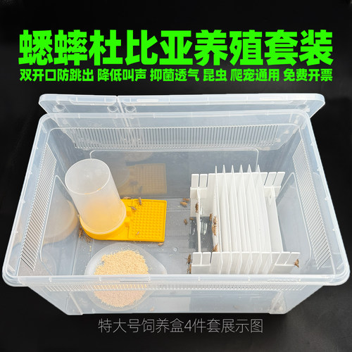 爬宠杜比亚蟋蟀饲养盒樱桃蟑螂蜗牛睫角守宫蛇树角蛙昆虫盒箱套装