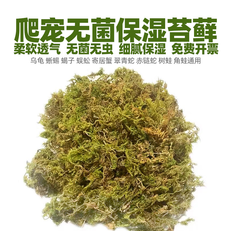 无菌鲜活苔藓干造景盆乌龟蜗牛寄居蟹鱼缸专用椰土植物养殖小水草