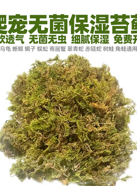 无菌鲜活苔藓干造景盆乌龟蜗牛寄居蟹鱼缸专用椰土植物养殖小水草