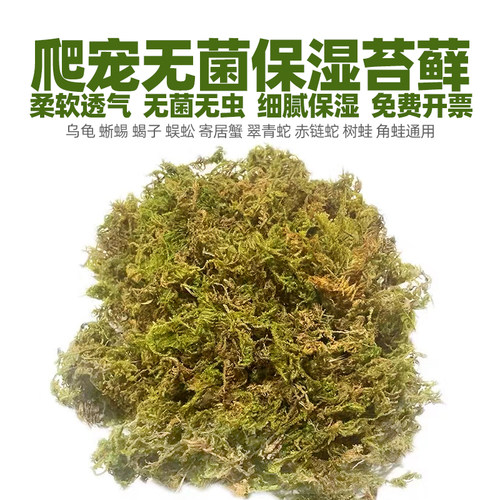鲜活苔藓乌龟蜗牛寄居蟹鱼缸专用