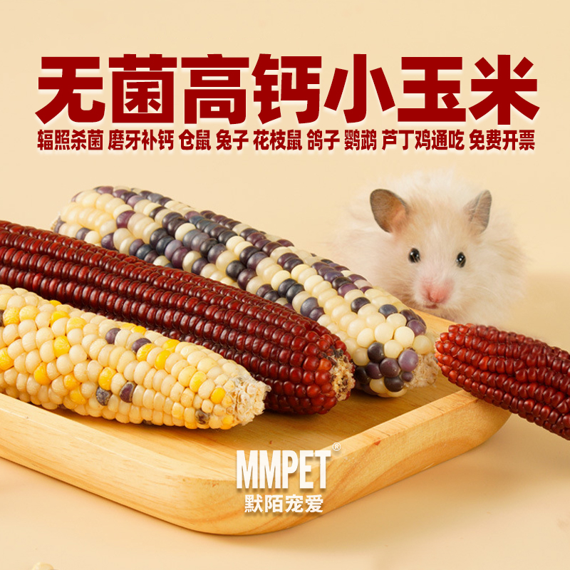 仓鼠粮食彩色小玉米磨牙棒的零食
