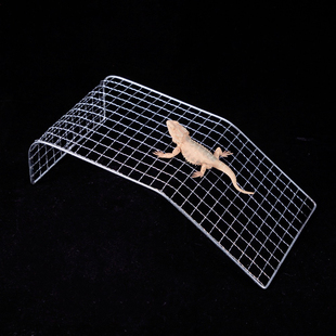 爬宠箱造景装饰乌龟蜥蜴鬃狮蜥睫角守宫两栖动物夏日降温纳凉爬网