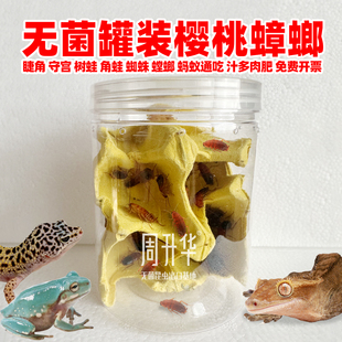 罐装樱桃蟑螂活虫奶茶杯红蟑螂幼虫睫角守宫花枝鼠小螳螂鸟饲料粮