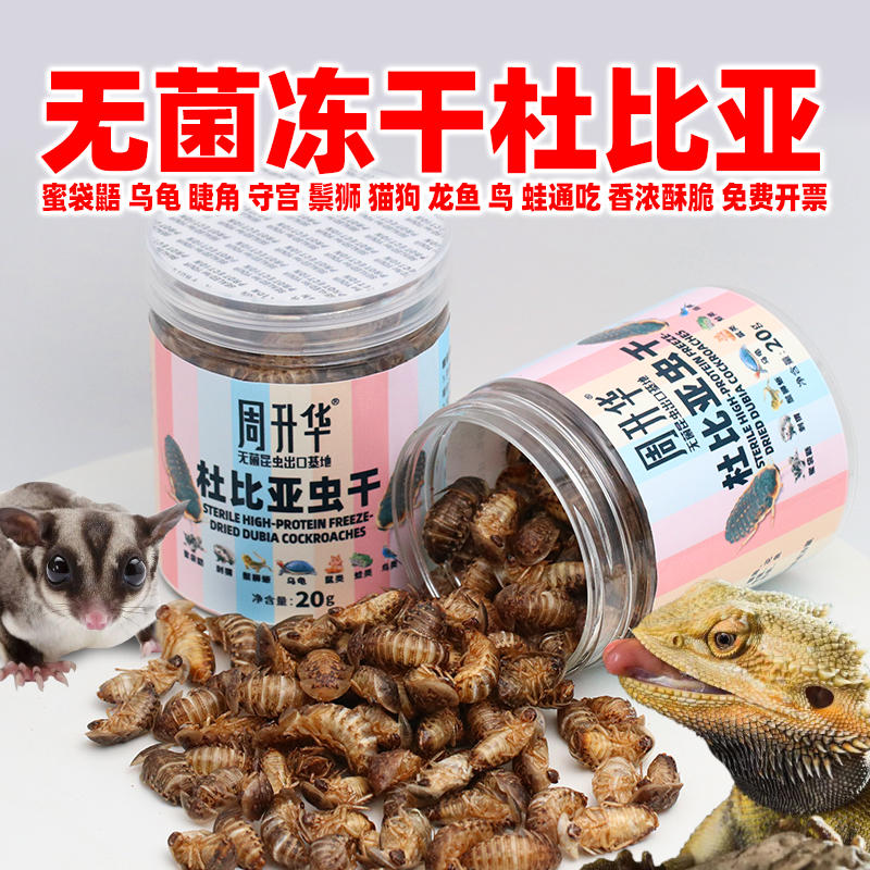 高蛋白杜比亚蟑螂冻干虫干爬宠粮