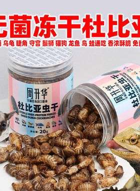 高蛋白杜比亚蟑螂冻干虫干爬宠粮