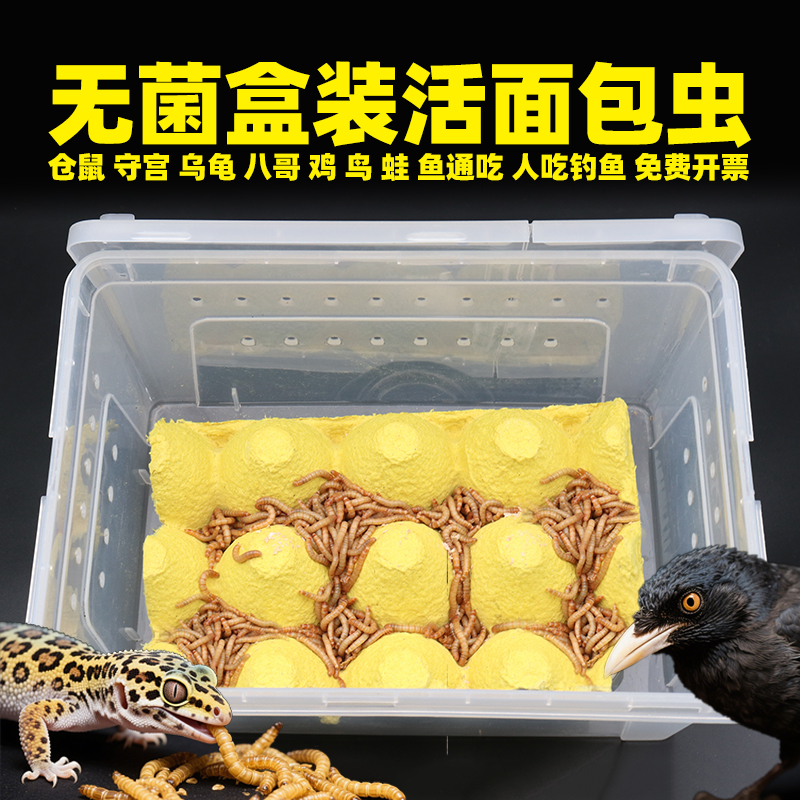 无菌盒装面包虫活虫黄粉虫大号蜜袋鼯八哥仓鼠守宫鸟龟钓鱼粮幼虫