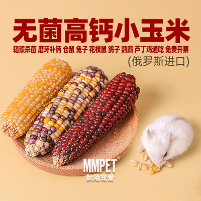 进口金丝熊迷你小玉米磨牙棒主粮