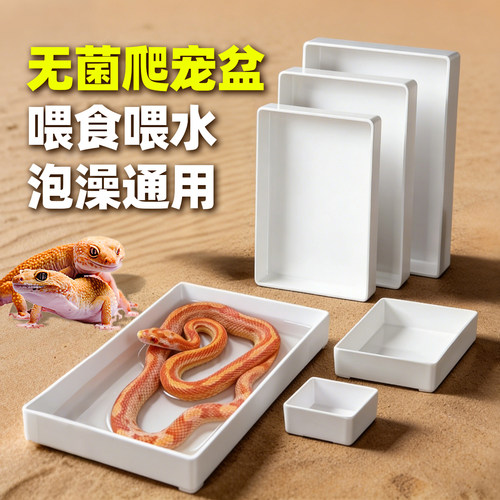 无菌爬宠水食盆蛙龟蛇守宫泡澡盆