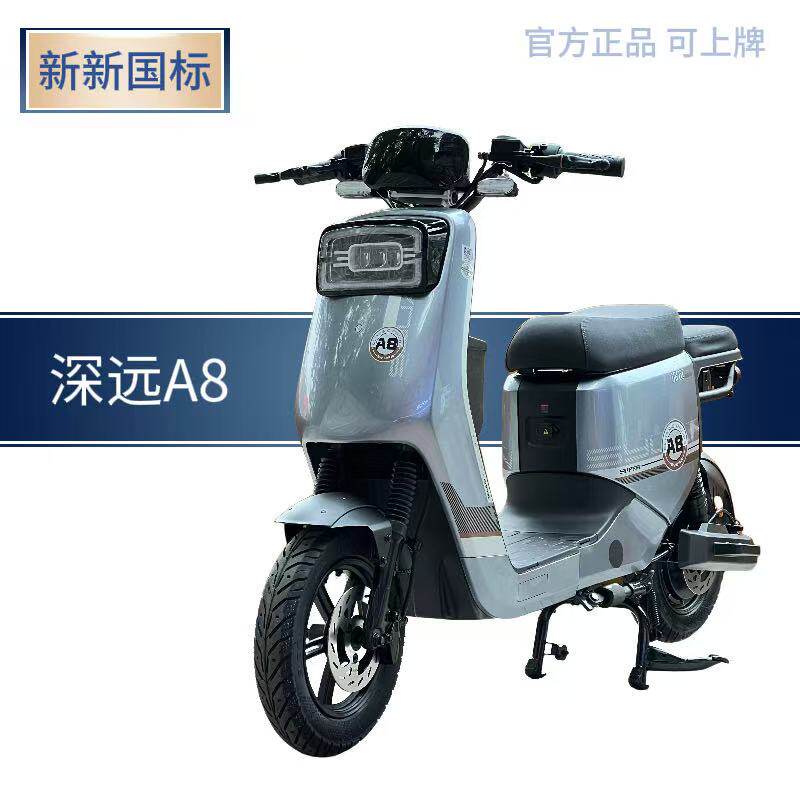 深远A8国标可上牌电动自行车载客拉货外卖骑手跑王耐力长续航
