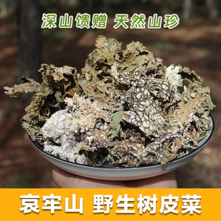 云南哀牢山野生树皮菜树花凉拌菜老龙皮菜