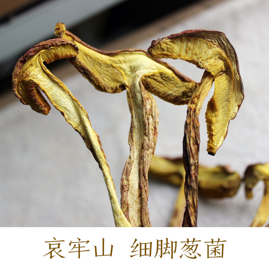 野生高脚葱菌 细脚葱 黄牛肝菌 红葱菌 见手青 干货100克