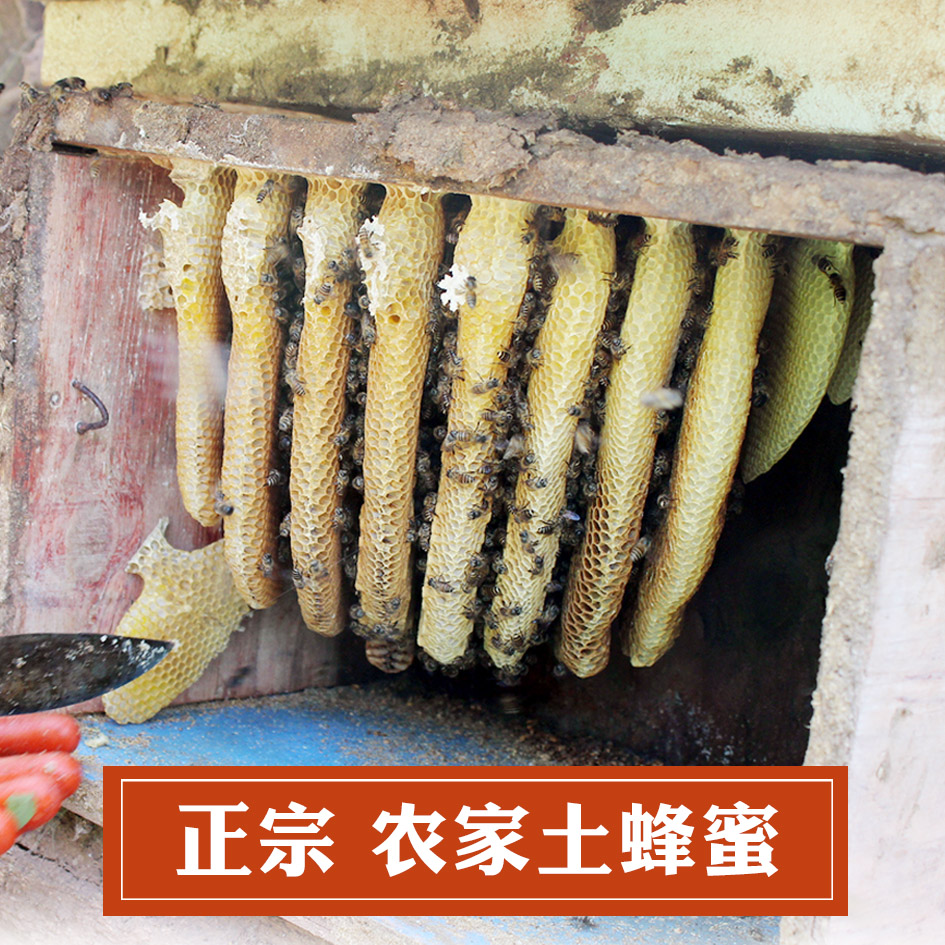 云南哀牢山土蜂蜜中华蜜蜂蜜天然农家自产野地高山百花蜜1斤
