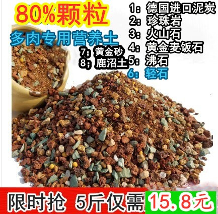 植物陶粒换盆泥炭多肉土