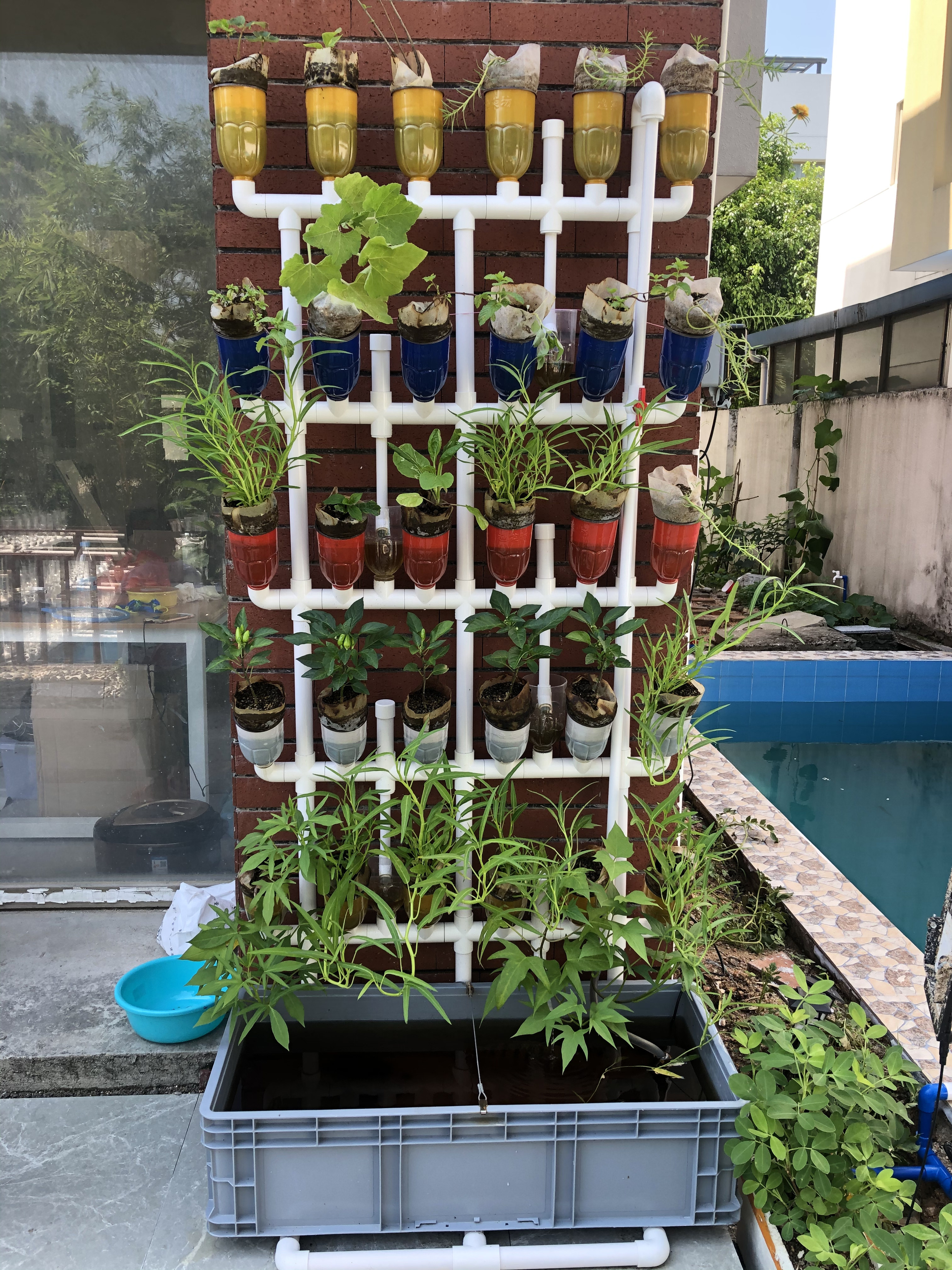 5層30孔魚菜共生系統(tǒng)育苗家庭農場陽臺種菜有機菜潮汐水培種植機