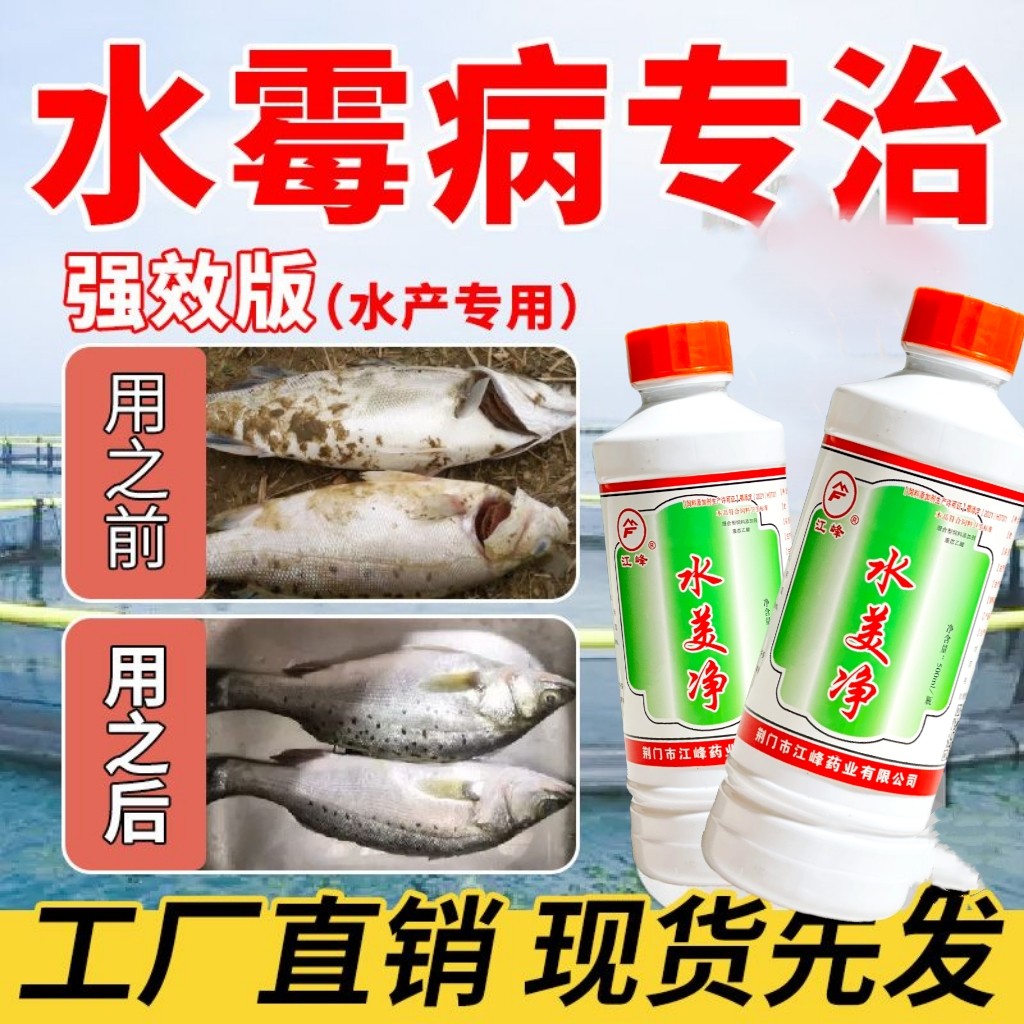 白毛病鱼药水杨酸水霉净鱼用专治鱼缸净水剂