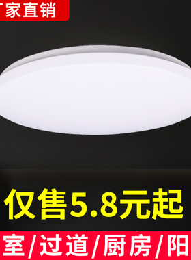 圆形吸顶灯18瓦24w30w36w48w直径40cm50cm客厅卧室阳台走廊全白灯