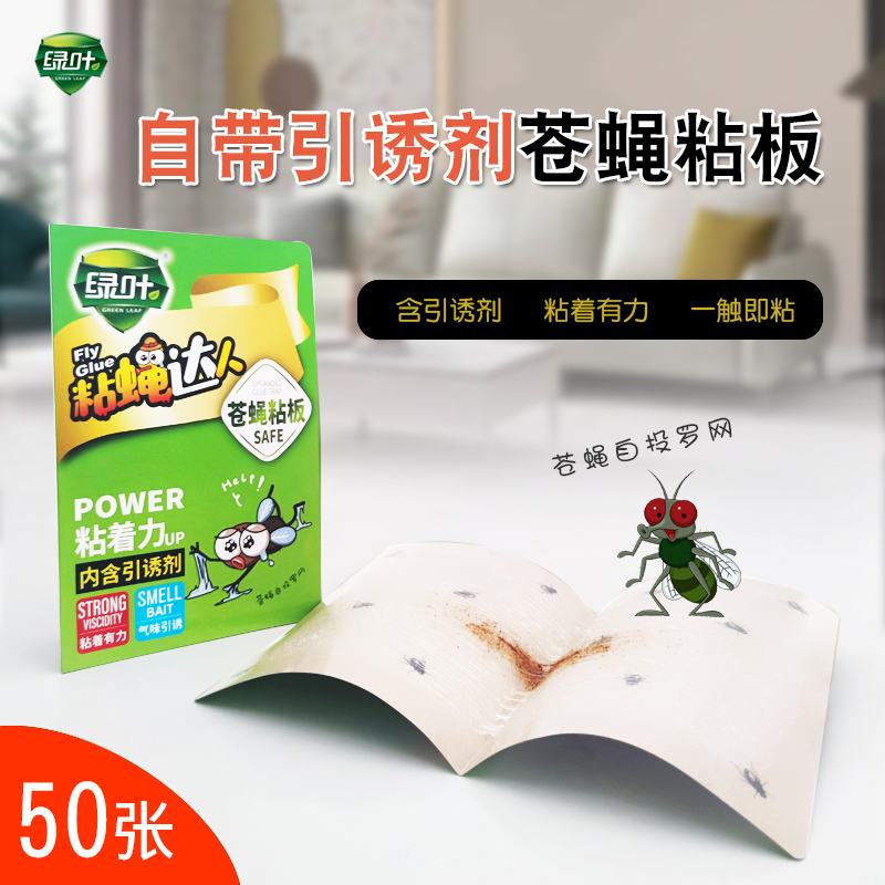 家用粘苍蝇纸板物理捕捉绿叶