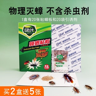 绿叶蟑螂药家用物理引诱捕小强贴强力粘蟑螂板纸厨房灭蟑螂粘板帖