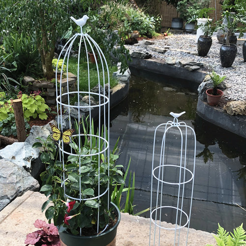 玫瑰月季花架铁线莲花艺攀爬植物