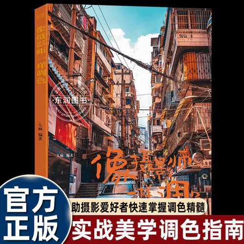 像摄影师一样调色大疯编著