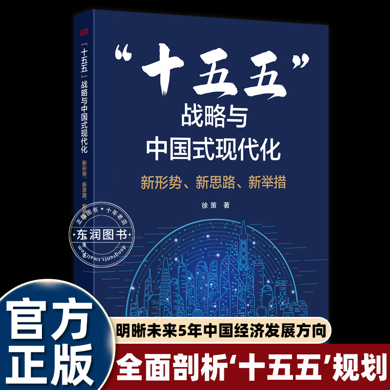 十五五战略与中国式现代化聚焦目标前瞻分析展望远景谋划战略壁画蓝图清华大学国情研究院胡鞍持续为中国发展提供决策知识畅销书籍