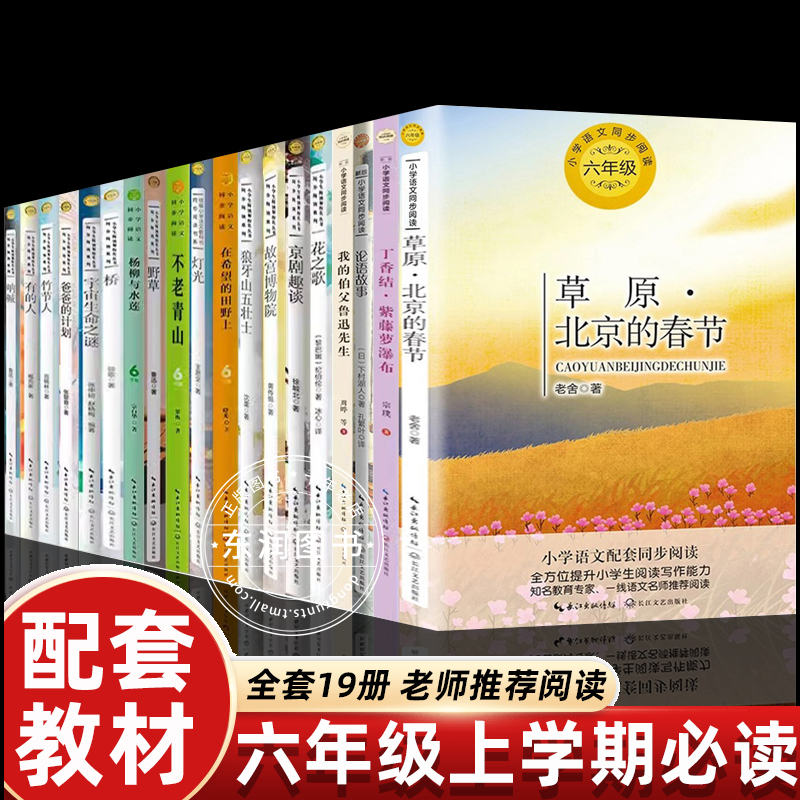 六年级上册必读的课外书小学语文同步阅读老师推荐爱的教育草原北京的春节竹节人花之歌会走路的梦铁凝散文集京剧趣谈丁香结童年