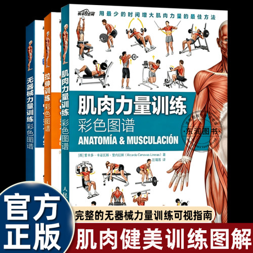 肌肉力量训练彩色图解拉伸无器械