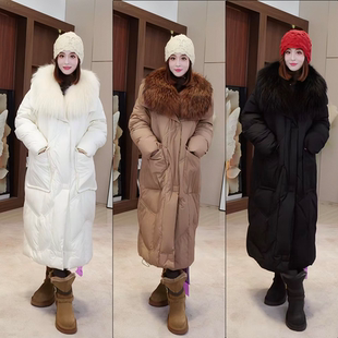 【辰大嗓严选】24112