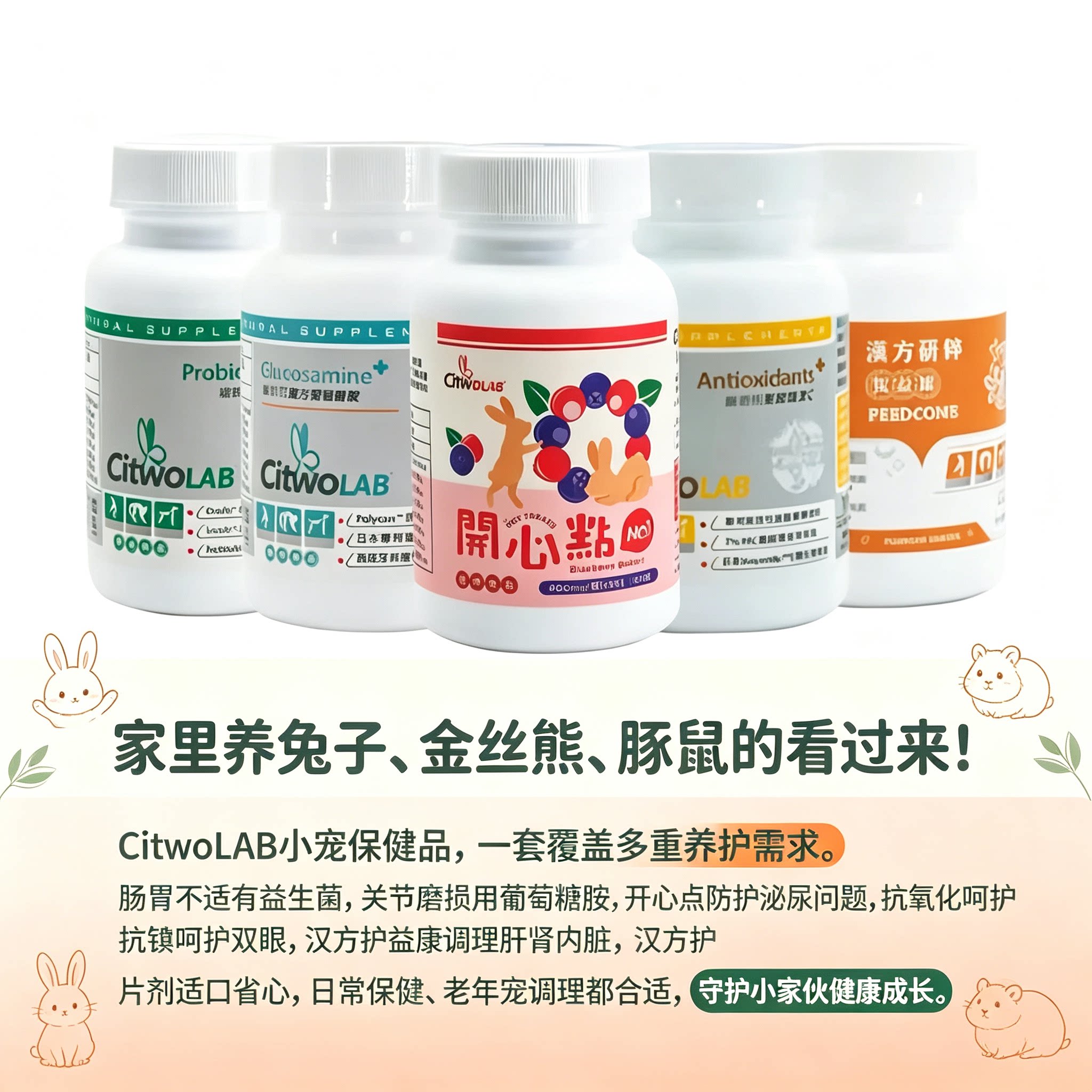 台湾Ciwto兔子荷兰猪仓鼠保健品