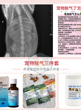 胀气三件套兔子龙猫猪仓鼠胀气